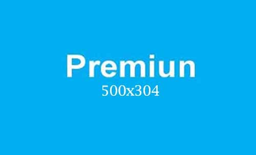 premiun500x304mobile