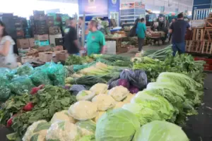 hortifrútis afetados pelo clima seco