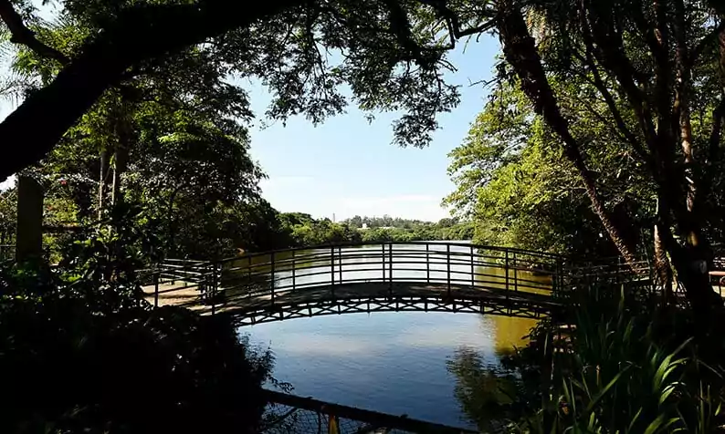 iluminação do parque ecológico de Barão Geraldo ponte