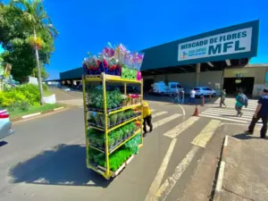 Mercado de Flores – licitação Mercado de Flores