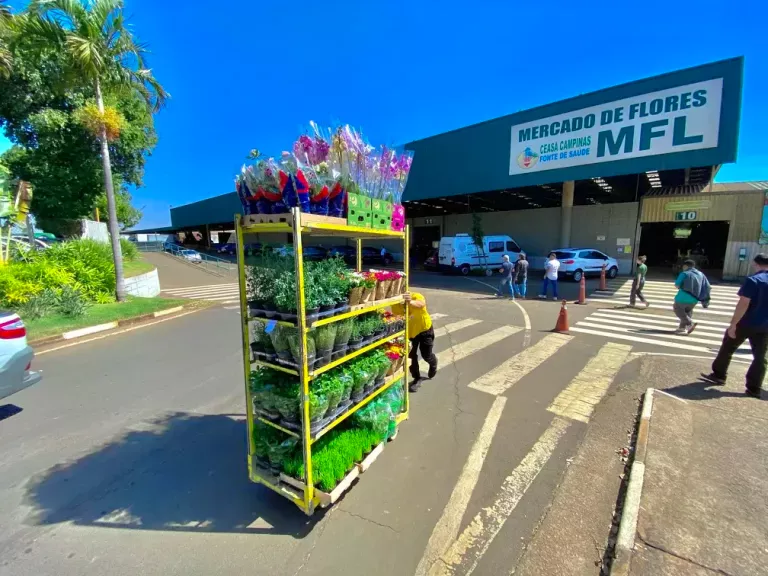 Mercado de Flores – licitação Mercado de Flores