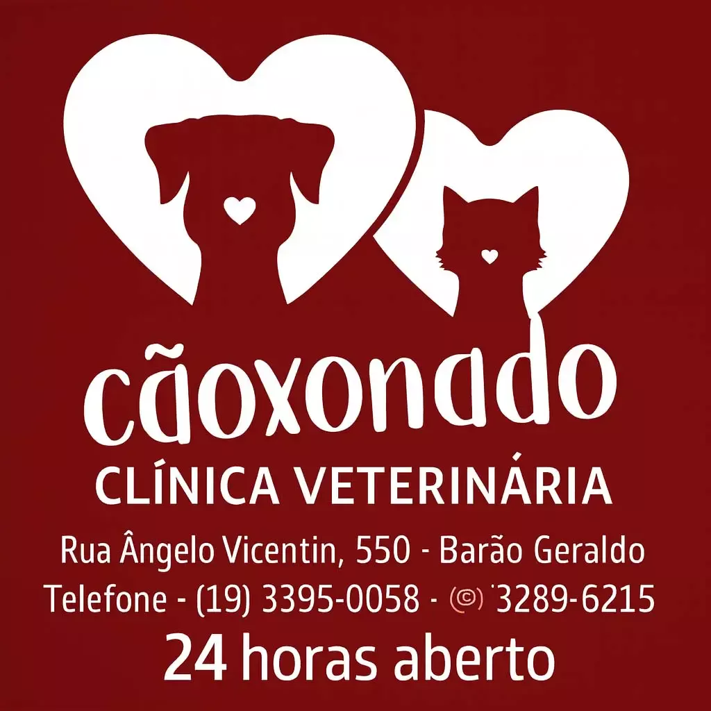 caoxonado-clinica-veterinaria-campinas