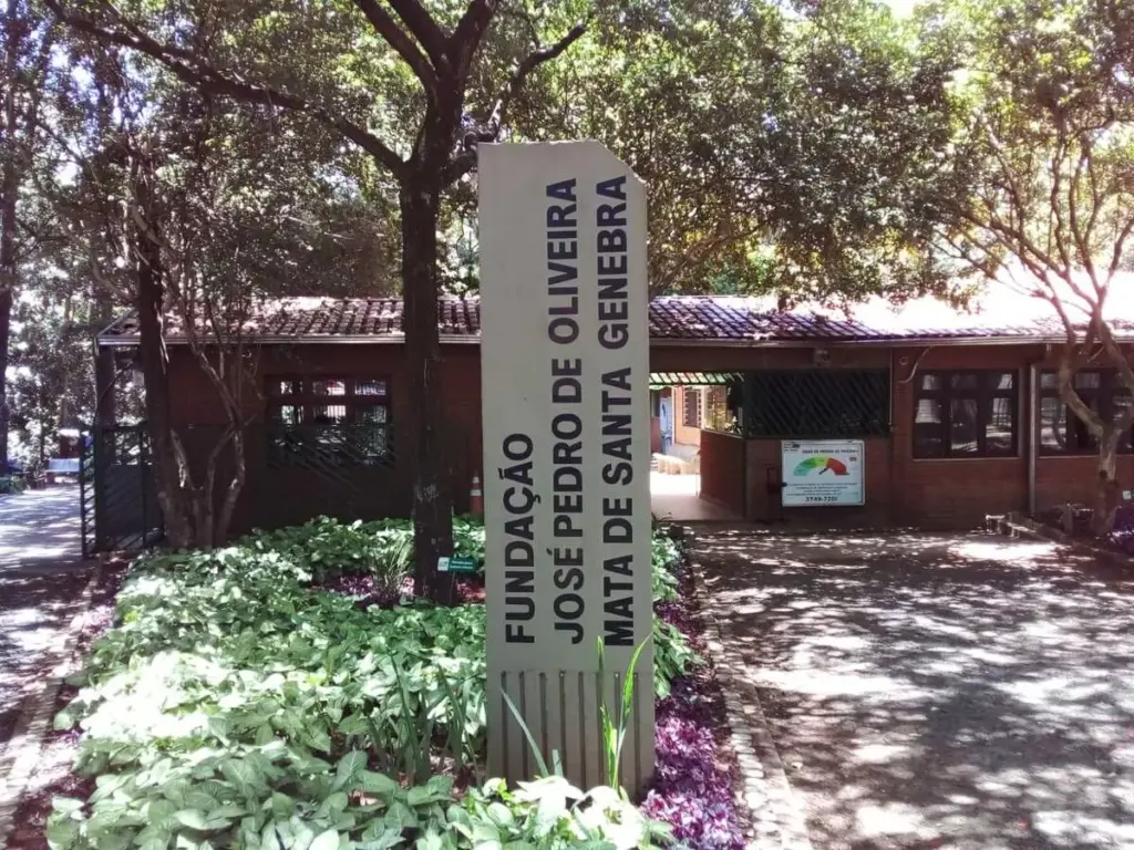 visitas monitoradas gratuitas