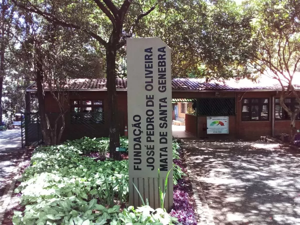 visitas monitoradas gratuitas