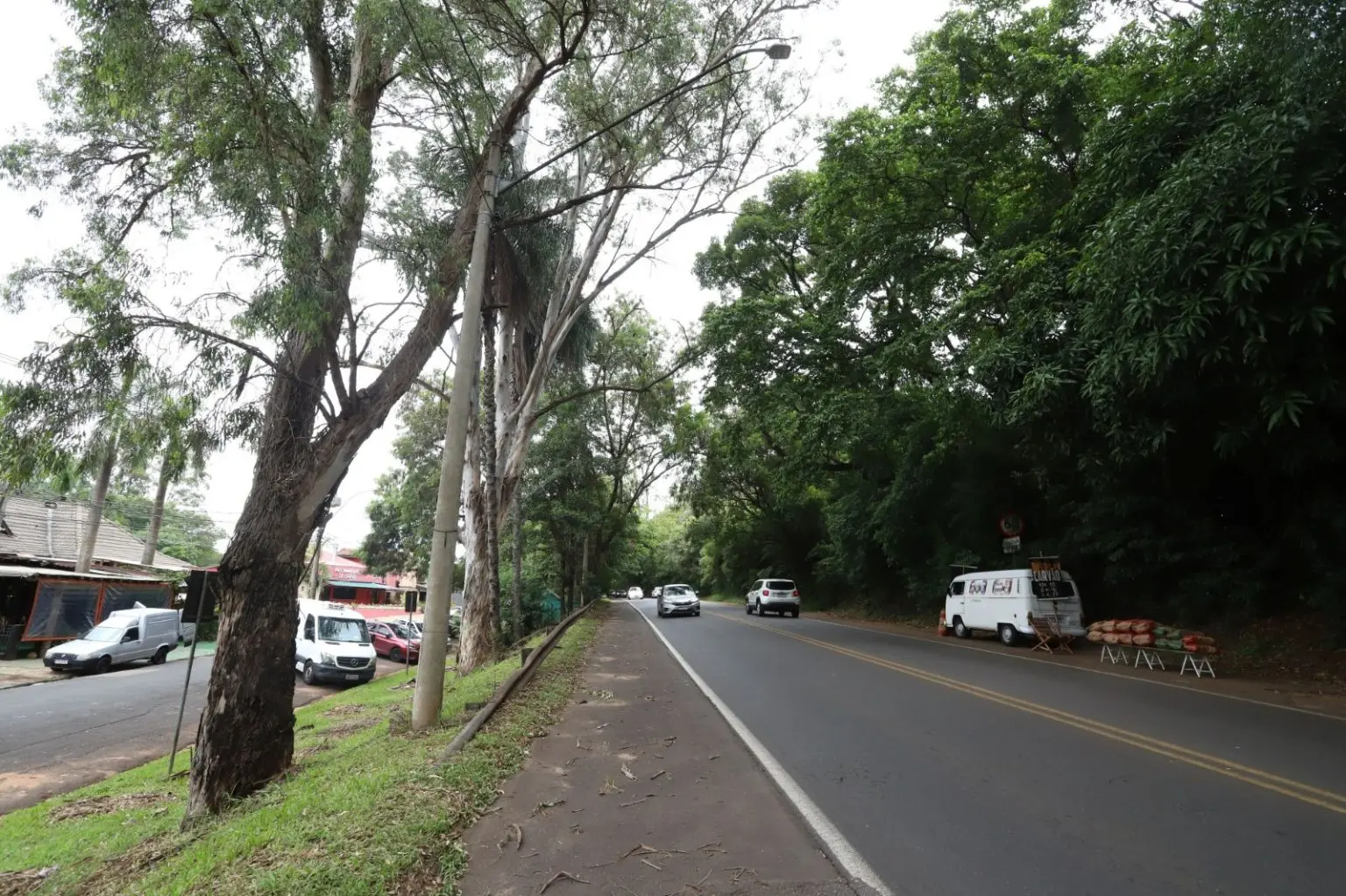 Bloqueio em Barão Geraldo para retirada de eucaliptos