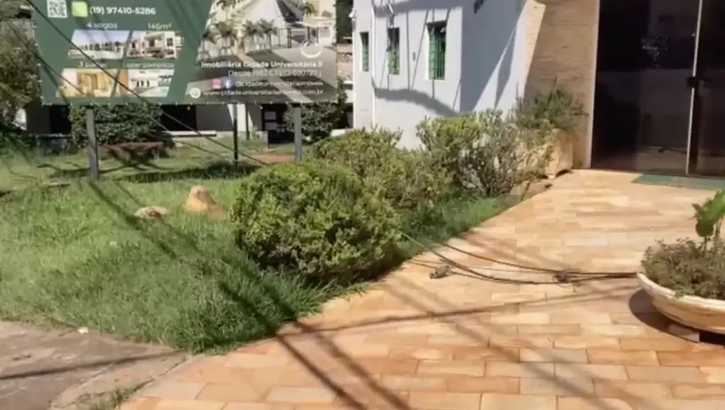 fios caídos em calçada
