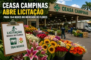 Ceasa Campinas abre licitação mercado de flores com boxes comerciais