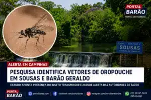 Vetores de Oropouche são identificados em Campinas