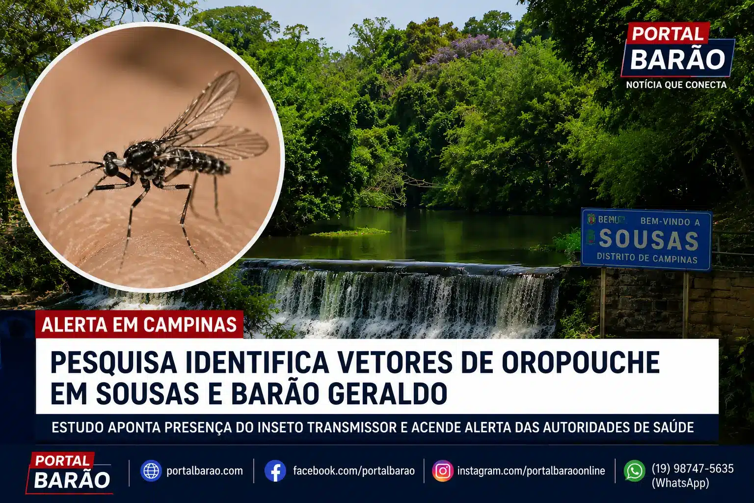 Vetores de Oropouche são identificados em Campinas