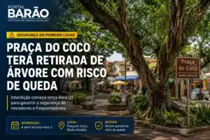Praça do Coco em Barão Geraldo terá retirada de árvore com risco de queda