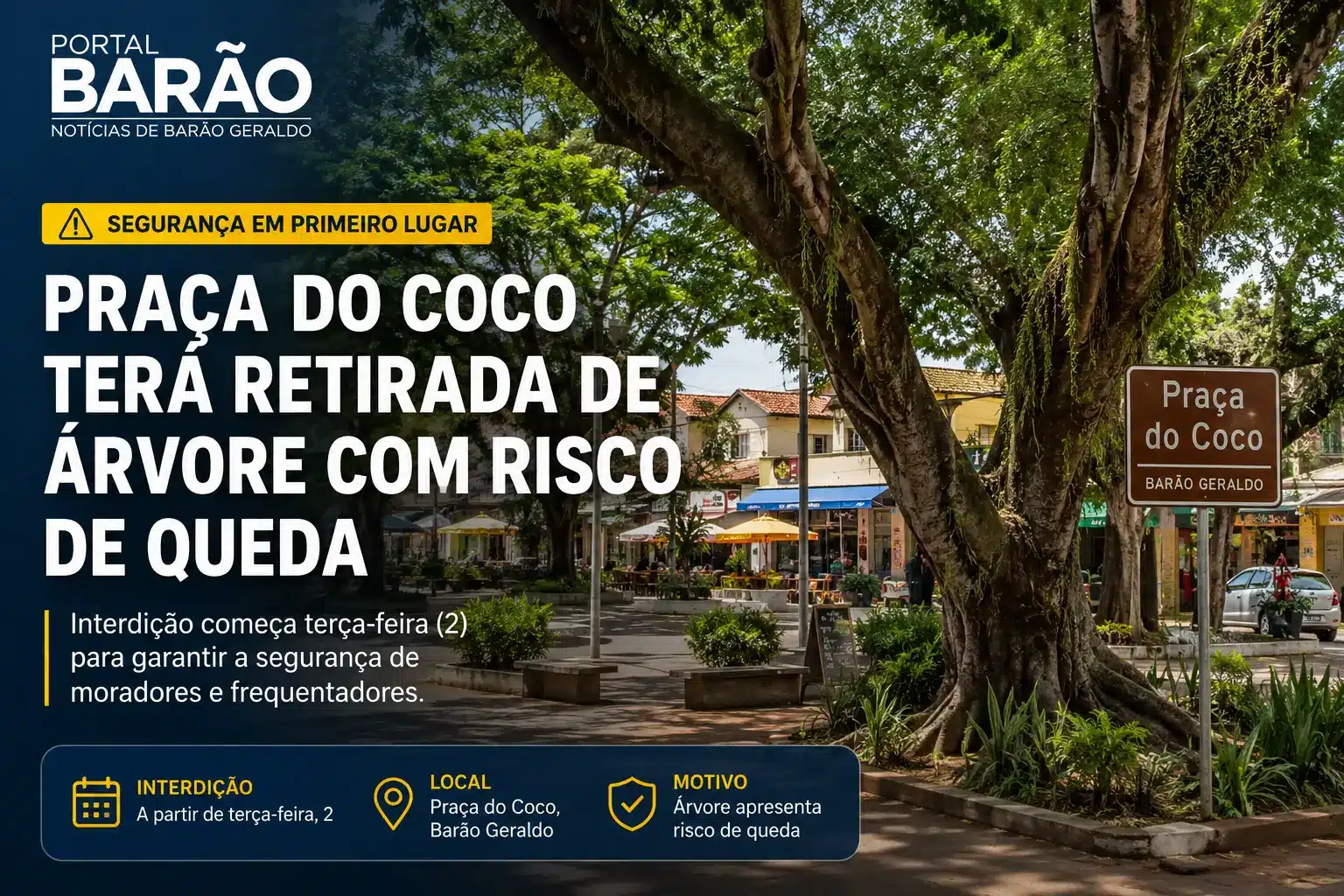 Praça do Coco em Barão Geraldo terá retirada de árvore com risco de queda